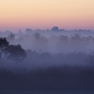 Fog on the Lowland