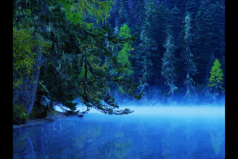 Morning Blue