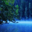 Morning Blue