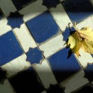 Islamic autum