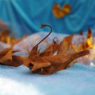 The swan made of Withered leave