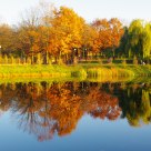 Pond autumn landscape