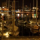 Harbor Nights