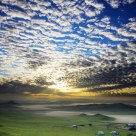 Rosy clouds of dawn