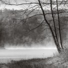 Misty Lake View