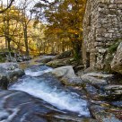 Autumn's river