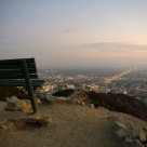 The Bench