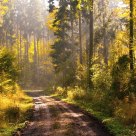 Golden October