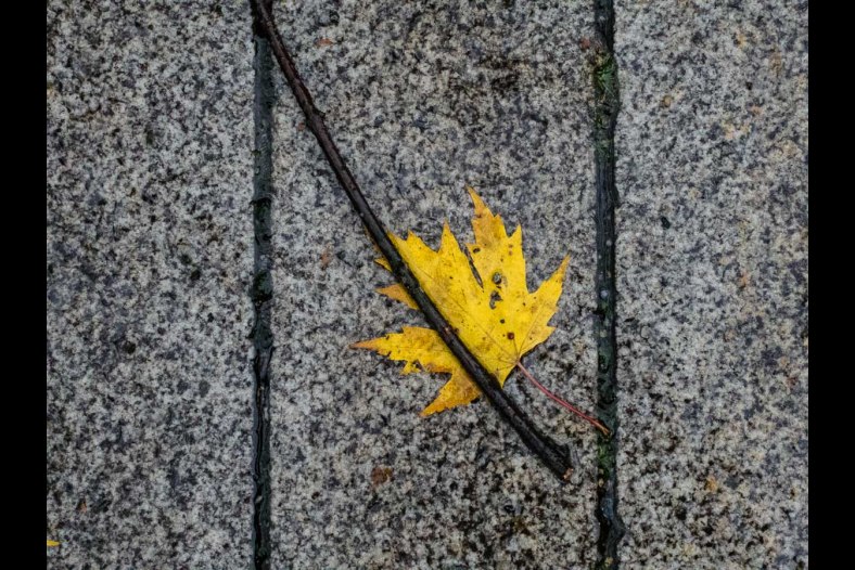 On the ground