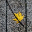 On the ground