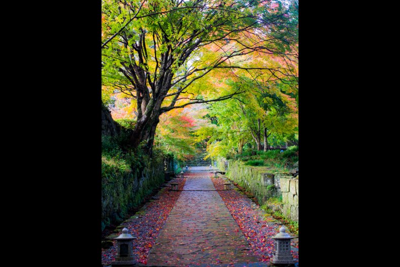 Autumn In Japan