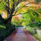 Autumn In Japan