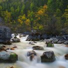 Stream at dusk