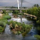 The river