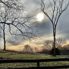 November Sky