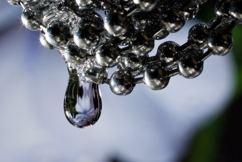 gota-flor