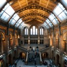 National History Museum Main Hall