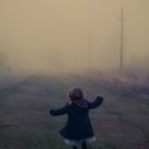 Meeting in the mist 
