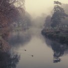 Misty morning on the Avon River, Christchurch, New Zealand