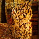 fire wood