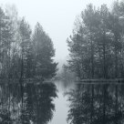 Symmetry