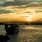 Golden Sunset