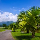 Tropical Botanical Garden