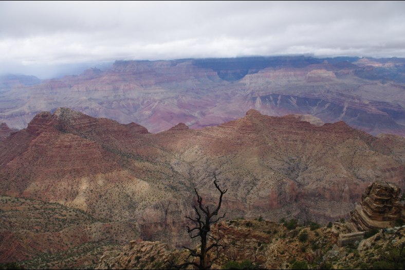 Grand Canyon 1