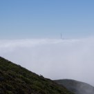 Sutro Tower