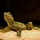 Catching some rays
