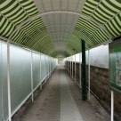 Green Miles