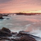 Pink coast