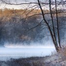 Mist at Tucker Lake.