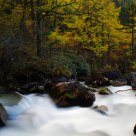 Stream