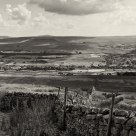 Wensleydale