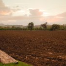 Fields