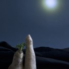 Un amor vegetarià-- A love vegetarian