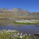 Rio Rosset