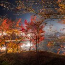 Fantastic Autumn Night