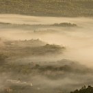Foggy morning