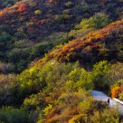 Xiangshan in Autumn