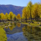 Beautiful inverted image in autumn.