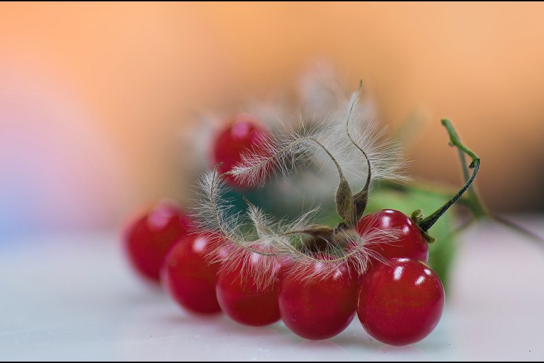 In reminiscence of autumn