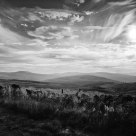 Dentdale