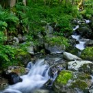 Mountain stream