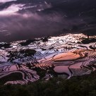 Yuanyang Rice Terrace