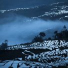 Yuanyang Rice Terrace