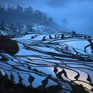 Yuanyang Rice Terrace