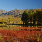 Red Grass Land