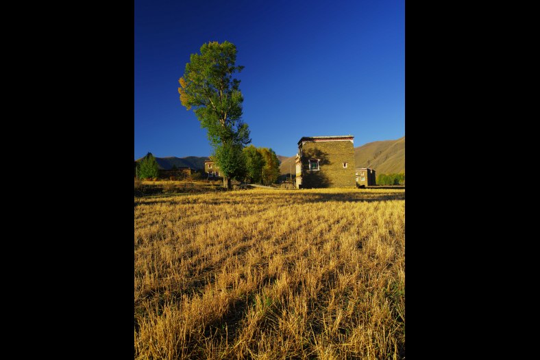 Village House